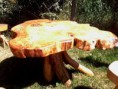 /album/fotogaleria/comedor-terraza-con-base-de-hualle-rauli-y-cubierta-de-alamo-jpg/